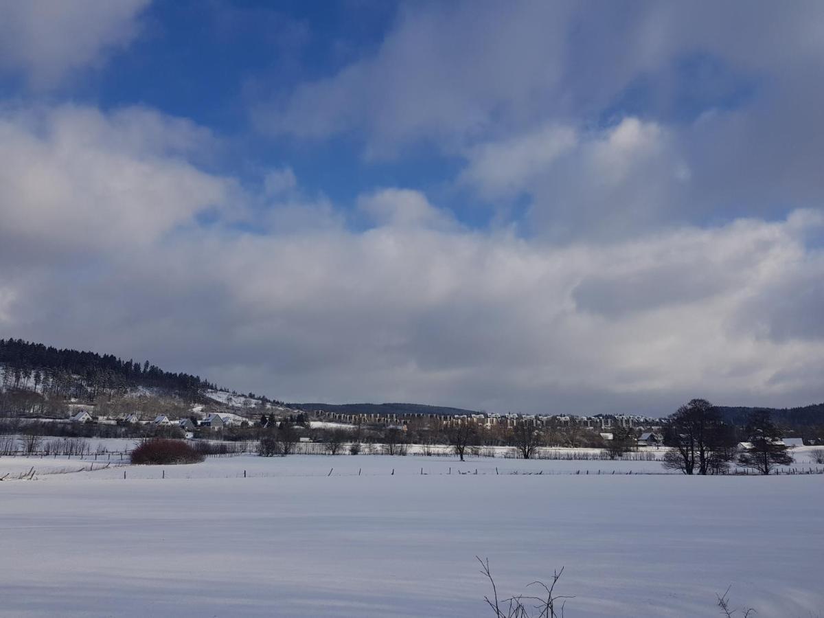 Ferienwohnung Parkblick 梅德巴赫 外观 照片