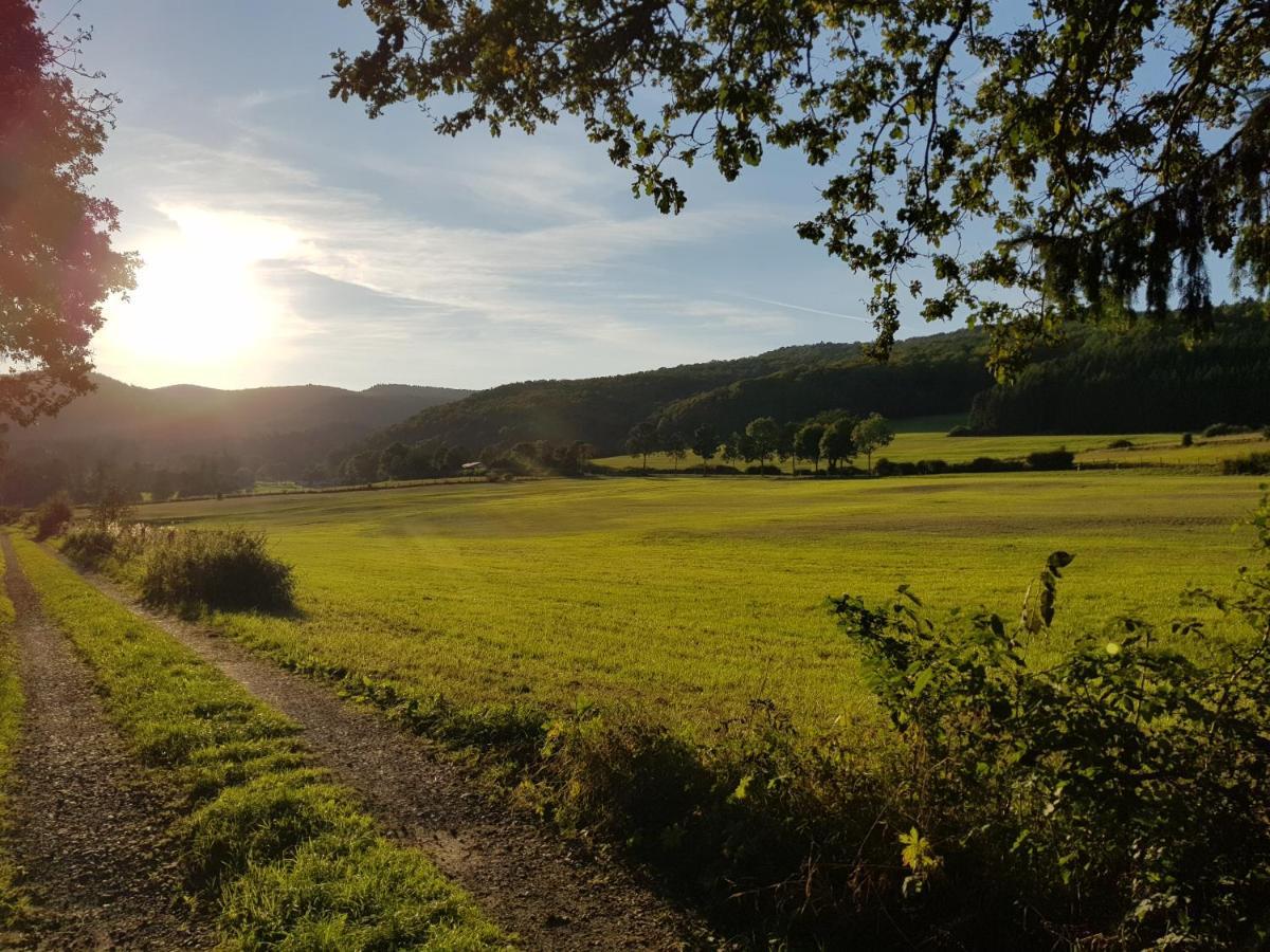 Ferienwohnung Parkblick 梅德巴赫 外观 照片