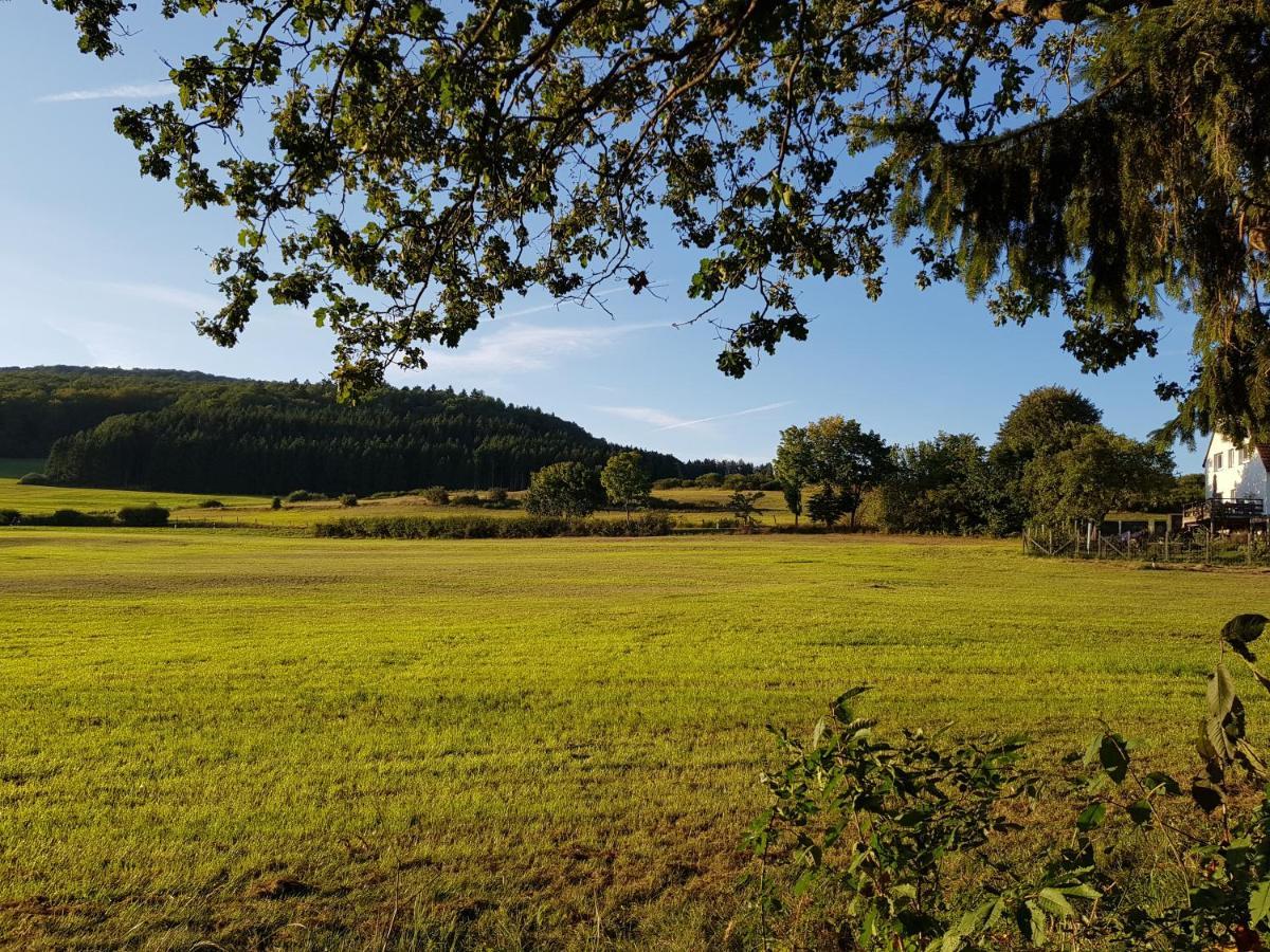 Ferienwohnung Parkblick 梅德巴赫 外观 照片