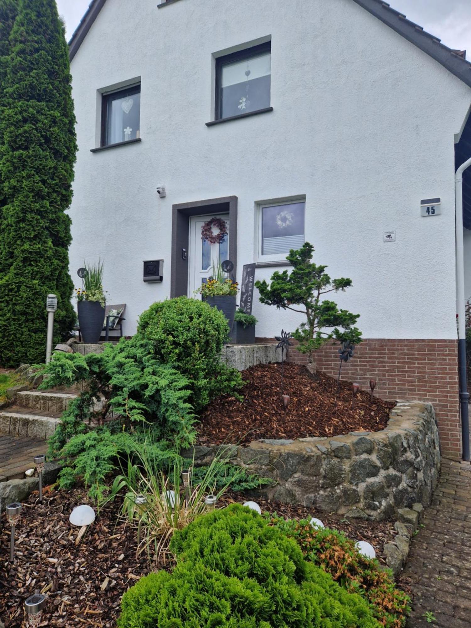 Ferienwohnung Parkblick 梅德巴赫 外观 照片